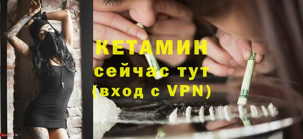 шишки Козельск