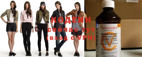 СК Козловка