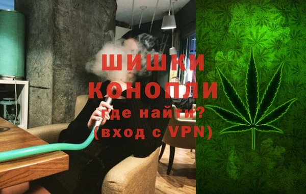 шишки Козельск