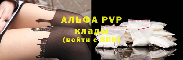 шишки Козельск