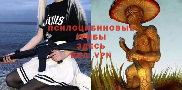 шишки Козельск