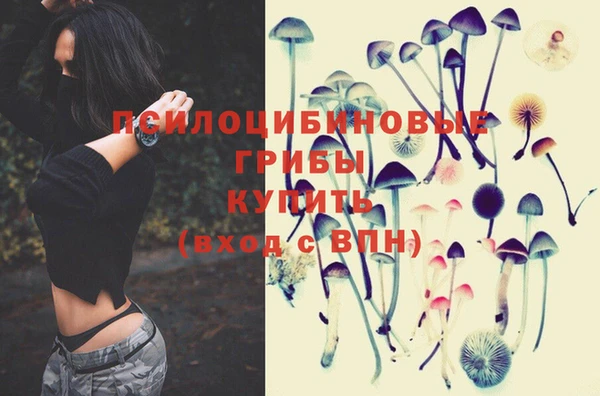 шишки Козельск