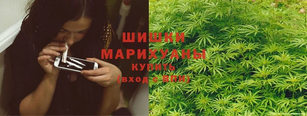 шишки Козельск