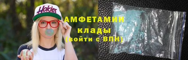 шишки Козельск