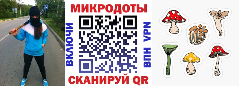 Купить закладки  Добрянка  Галлюциногенные грибы Psilocybe 
